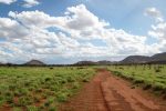 On the road Uluru to Pipalyatjara